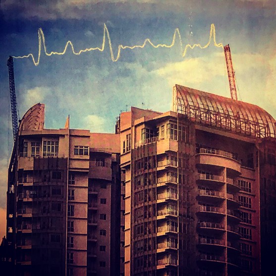 D5AC236C-C9BD-4290-9665-B47B33CD08B2